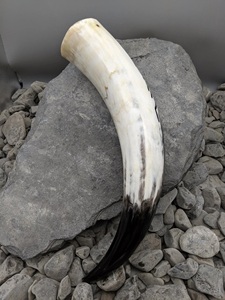 Jarra de Cuerno Pulido Estilo Vikingo Medieval, Hecha a Mano, Ecológica y Orgánica, para Regalo de Boda - Product Image 4