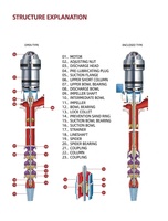 Pompe à turbine verticale en acier inoxydable haute efficacité 75 kW avec moteur 380 V/6 kV pour l'irrigation agricole et le drainage municipal