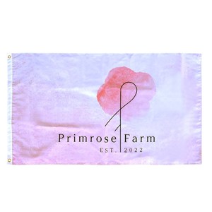 Drapeau rectangulaire personnalisé en polyester imprimé, durable et portable, avec mât en acrylique, pour usage promotionnel - Product Image 5