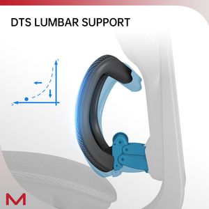 Sedia da Ufficio D2 Pro con Schienale Alto, Supporto Lombare Autoadattivo DTS, Braccioli Multi-Regolabili e Controllo a Filo - Product Image 3