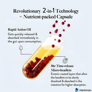 Comprimés multivitaminés et minéraux pour femmes, complément nutritionnel quotidien avec vitamines essentielles, longue durée de conservation 24 mois - Product Image 6