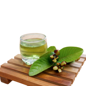 Precio de Liquidación: Guayabas Deshidratadas Naturales en Sacos de PP de 50 kg, Comprador Mayorista, Comercio Global, Fabricante Vietnamita, Estándar de Exportación - Product Image 1