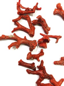 Nuggets de Coral Natural Italiano en Forma de Rama, de 2 a 3 Pulgadas, Rojos, de Forma Libre, Piezas Grandes y Gruesas - Product Image 4