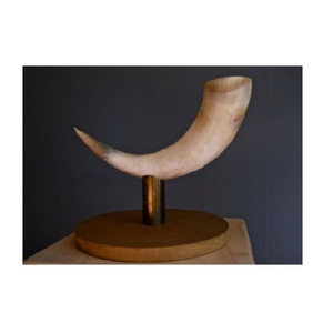 Nuevos Adornos Decorativos de Cuerno para el Hogar y Tamaños Personalizados, Venta al por Mayor en Alibaba - Product Image 1