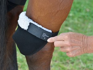 Protector de Cadera para Caballo Click Hock Shield, de Perfil Bajo, Suave y Flexible, para Prevenir Úlceras por Presión, Envoltura Ecuestre para Patas de Neopreno y Forro Polar - Product Image 3