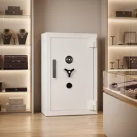 Coffre-fort personnel ignifuge compact anti-effraction pour le rangement de documents et de bijoux TX-800