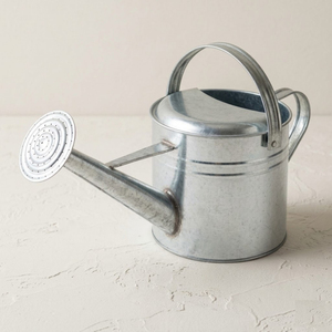 Eco-Friendly Vintage Galvanized Steel Watering Can With Long Spout Rustic Decorative Iron Water <b>Cane</b> for Farmhouse <b>Garden</b> Decor - Product Image 6