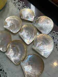 Offre Spéciale BON MARCHÉ Nacre Cuillère En Gros Exquise Nacre Nacre Caviar Cuillère avec gravure logo - Product Image 5