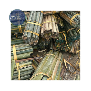 Postes de Bambú Ecológicos de Alta Calidad para Jardín, Soporte para Plantas, Bambú Azul Personalizable - Product Image 1