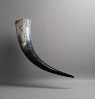 Corne à boire Viking 100% naturelle en corne de buffle, taille unique, pour bière et eau, de la meilleure qualité, fournisseur en gros d'Inde
