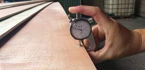 Contrachapado Comercial Bintangor/Okoume con Núcleo de Acacia, E2, Grosor de 5-24 mm, 1220x2440 mm - Product Image 5