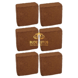 สินค้าขายดี บล็อกใยมะพร้าวออร์แกนิค BLUE LOTUS ค่า EC ต่ำ คุณสมบัติการกักเก็บน้ำสูง เป็นมิตรต่อสิ่งแวดล้อม วัสดุปลูกพืชไร้ดิน - Product Image 1