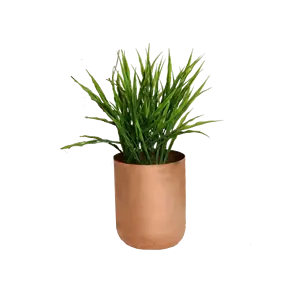 Maceta de Acero Inoxidable con Diseño Curvo en Oro Rosa, Venta al Por Mayor, Maceta Decorativa Brillante para Hogar, Jardín y Hotel - Product Image 1