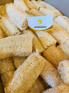 Esponja de Baño de Luffa Natural Seca, Forma Larga, Paquete a Granel para Adultos, Estilo Simple, Almohadilla Exfoliante Corporal Totalmente Natural - Product Image 4