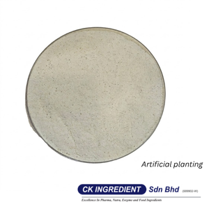 <b>Best</b> Supplier Guarantee Barley Powder Premium Quality Halal OEM B2B Top Sale Nutritious Instant Beverage Healthy Cereal Mix - Product Image 5