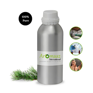 น้ำมันหอมระเหยจากใบสนธรรมชาติ 100% ขายส่งและส่งออก - Product Image 3