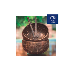 Cuenco de Cáscara de Coco Ecológico, Seguro y Limpio, Ideal para Servir Smoothies y Açaí, Excelente Relación Calidad-Precio - Product Image 1