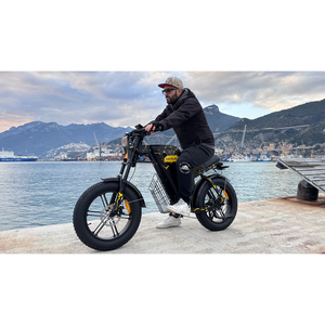 Vélo électrique tout-terrain en stock UE, pneus larges 20 pouces, batterie lithium 48V 31.5Ah, moteur moyeu arrière, frein à disque, 7 vitesses - Product Image 2