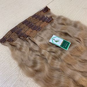 Fournisseurs de cheveux en gros perruques d'extension vietnamiennes de qualité - Product Image 2