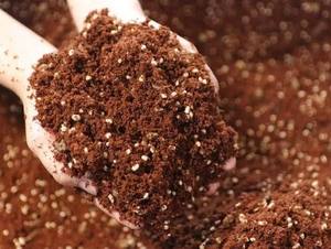 100% Natural Coconut <b>Coir</b> Pith Cocopeat <b>Block</b> for Greenhouse and Soil Improvement - Product Image 4