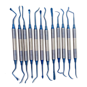 Herramientas de limpieza dental de acero inoxidable, juego de 10 piezas, kit de limpieza dental, raspadores, 10 piezas para cuidado bucal. - Product Image 2