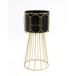 Gold Iron Powder Coated Durable Indoor Floor Planter for Home Garden Decor - Product Image 2