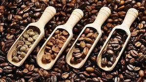 เมล็ดกาแฟเวียดนามโรบัสต้าและอาราบิก้า คั่วเต็มเมล็ดหรือบดละเอียด รสชาติเข้มข้น กาแฟพรีเมียมสำหรับเอสเพรสโซ คาเฟ่ บิสโทร ขายส่ง - Product Image 5
