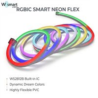 Tira de Luces LED Inteligentes RGBIC WS2812B de 5V USB, Luces de Neón a Prueba de Agua con Control Remoto por Aplicación, Color de Ensueño, Decoración para Sala de Juegos