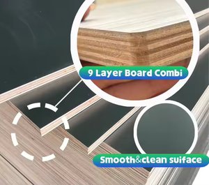 Vietnamese Manufacturer's Heavy-Duty E1 Phenolic <b>Board</b> <b>Black</b> Film Faced Plywood Rubber Core Eco-Friendly Water Bedroom Kitchen - Product Image 4