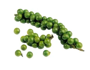 FD GREEN PEPPER corn pour épices et assaisonnements provenant de l'usine du VIETNAM, meilleur prix 2023/FD GREEN PEPPER ingrédients alimentaires - Product Image 1