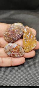 Venta al por Mayor de Preciosos Cabujones de Ágata de Raíz de Palma 100% Naturales, Piedras Preciosas Sueltas de Primera Calidad para la Fabricación de Joyas - Product Image 3