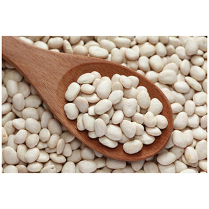 ถั่วลิมาคุณภาพดี / ราคาถั่วลิมา / ถั่วขาย - Product Image 3