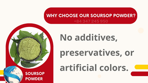 ใบแห้งสะอาดใบ graviola มาตรฐานส่งออกโดยตรงจากแหล่ง - Product Image 5