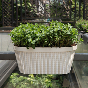 Haute qualité <span class=keywords><strong>pas</strong></span> <span class=keywords><strong>cher</strong></span> pays garde-corps rotin plastique Pot de <span class=keywords><strong>fleur</strong></span> longue boîte de jardinière ovale <span class=keywords><strong>pour</strong></span> <span class=keywords><strong>balcon</strong></span> maison jardin décor extérieur - Product Image 3