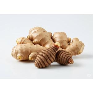 ชาขิงบาคานกี เวียดนาม |   ชาขิงหอมสำหรับดื่มเพลินทุกวัน - Product Image 3