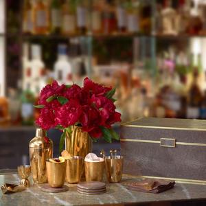 Juego de regalo de artículos de barra de diseño en oro con herramientas para cócteles, vasos, posavasos y caja de almacenamiento para fiestas y recepciones de invitados, procedente de la India. - Product Image 6