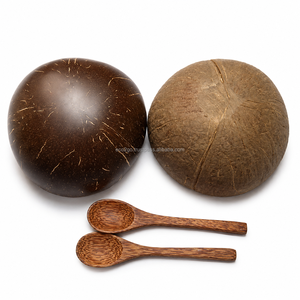 Bol en coquille de noix de coco naturelle, fait main, réutilisable, jetable, écologique, pour crème glacée, logo personnalisé par Eco2go Vietnam - Product Image 1