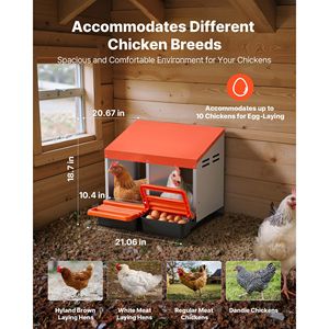 Nidi per Galline in Plastica a 2 Scomparti, Montaggio a Parete, Facile Assemblaggio, Acciaio Zincato ad Alta Resistenza, Facile Raccolta delle Uova - Product Image 2