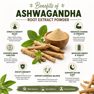 Extrait de racine d'Ashwagandha en poudre 10:1, 100% naturel, qualité export, fournisseur en gros d'Inde. - Product Image 5