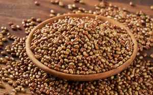 Haricots Matki Entiers de Qualité Supérieure, Naturels, Riches en Protéines, Qualité Alimentaire, Qualité Export, Approvisionnement en Vrac, Inde - Product Image 2