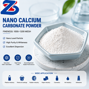 ZHONGSHENG High Purity Nano CaCO3 Fine White <b>Powder</b> Functional Material for Sealants Adhesives <b>Paints</b> Ink High End Industrial - Product Image 1