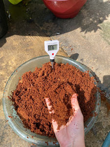 Bloques de Fibra de Coco Ecológicos Eco2go Vietnam |   Precio de Fábrica al por Mayor 5kg |   Compra al por Mayor para Agricultura y Cultivo de Plantas - Product Image 3