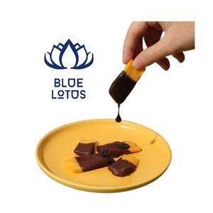 Mango Seco Dulce de Alta Calidad Cubierto de Chocolate, Mezcla Ecológica - Product Image 1