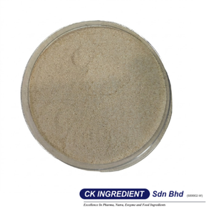 Polvo de Trigo Sarraceno de Primera Calidad, Garantía del Mejor Proveedor, Halal, OEM, B2B, Gran Venta, Sin Gluten, Alimento Saludable, Sabor a Grano Tostado - Product Image 3