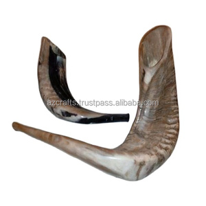 Instrumento musical tradicional Shofar de cuerno de Carnero Negro natural pulido con estilo náutico y animal - Product Image 2