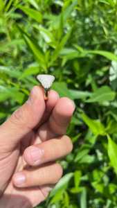 แหวนตราประทับเพชรหนา ดีไซน์โดดเด่น วงแหวนนิ้วก้อย 1.5 กะรัต 14.5 มม. ทอง 14k 18k ประดับเพชรทรงกลม ผู้ผลิตขายส่ง - Product Image 3
