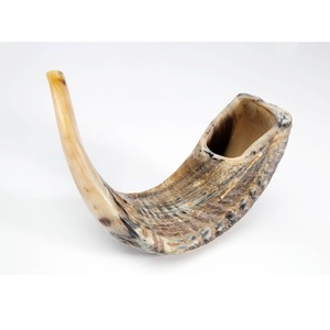 Shofar en corne de bélier de style vintage, imitation antique polie, instrument à vent sonore pour collectionneurs et événements rituels, vente en gros - Product Image 2