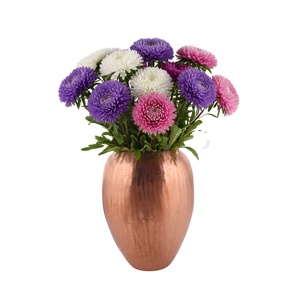 Maceta Clásica de PVC con Base Redonda para Uso en Interiores o Exteriores, Colgante o de Pie, para Plantas y Flores - Product Image 1