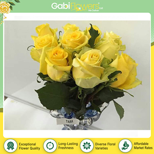 Qualité supérieure, vente en gros, fleurs fraîches coupées d'origine Kenya, roses Tara pour bouquets, événements et décorations de célébrations - Product Image 2