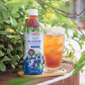 Jugo 100% Natural de Arándanos en Botella de 500 ml, Fabricante de Bebidas de Vietnam, OEM, Marca Privada para Venta al por Menor, Muestra Gratuita - Product Image 5